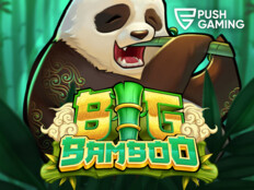 Free on line casino80